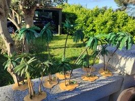 IMG_20250421_084734